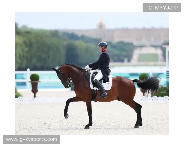 哥伦比亚骑手桑地亚哥·卡多纳在2024年巴黎奥运会盛装舞步比赛中取得第15名，创造历史最佳成绩。